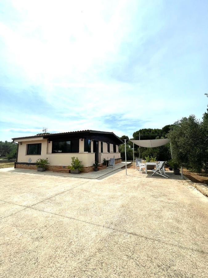 Il Moro - Casa Vacanze แตร์ราซีนี ภายนอก รูปภาพ